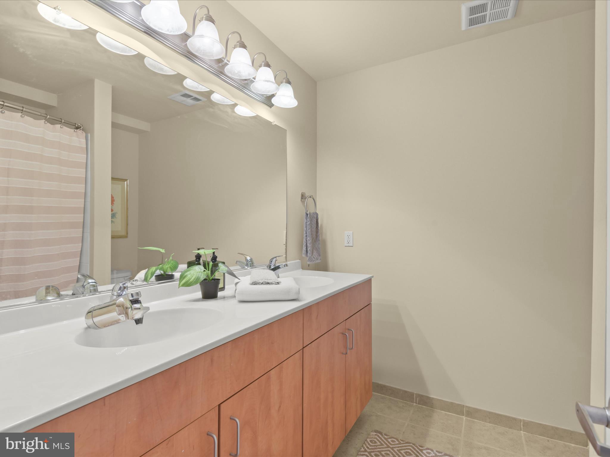 1004 Primrose Road, Unit 202 Annapolis, MD 21403 - Photo 16 of 39 Primary bathroom