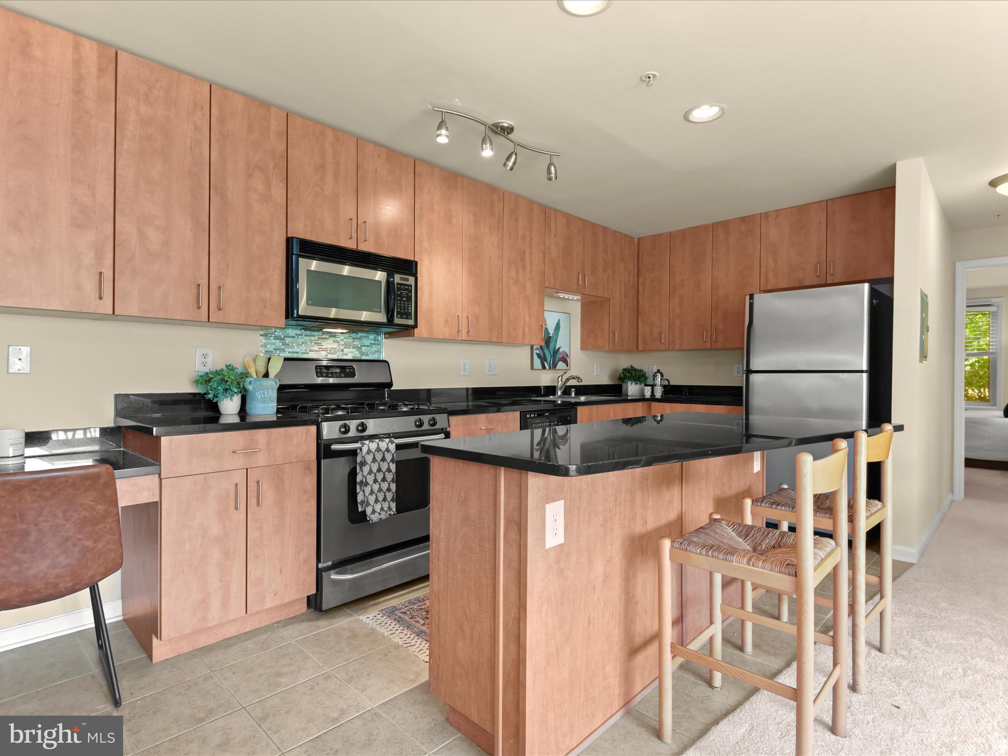 1004 Primrose Road, Unit 202 Annapolis, MD 21403 - Photo 2 of 39 Beautifully updated kitchen