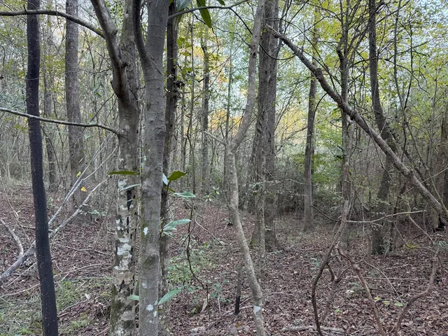 $120,000 | 225 Frost Lane, Bude, MS 39630