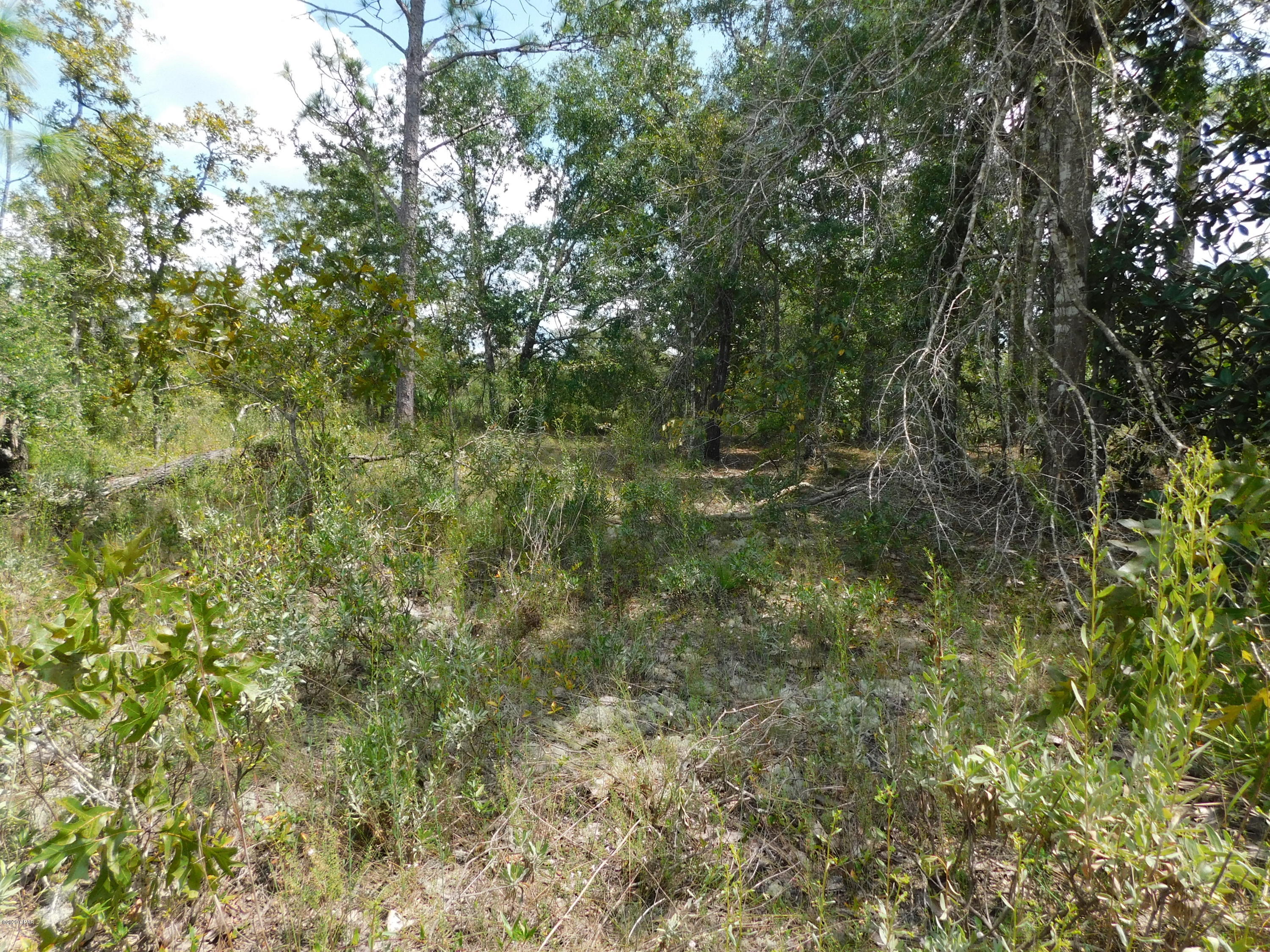 20815 Hurst Road Fountain, FL 32438 - Photo 6 of 7 Gallery Image 6