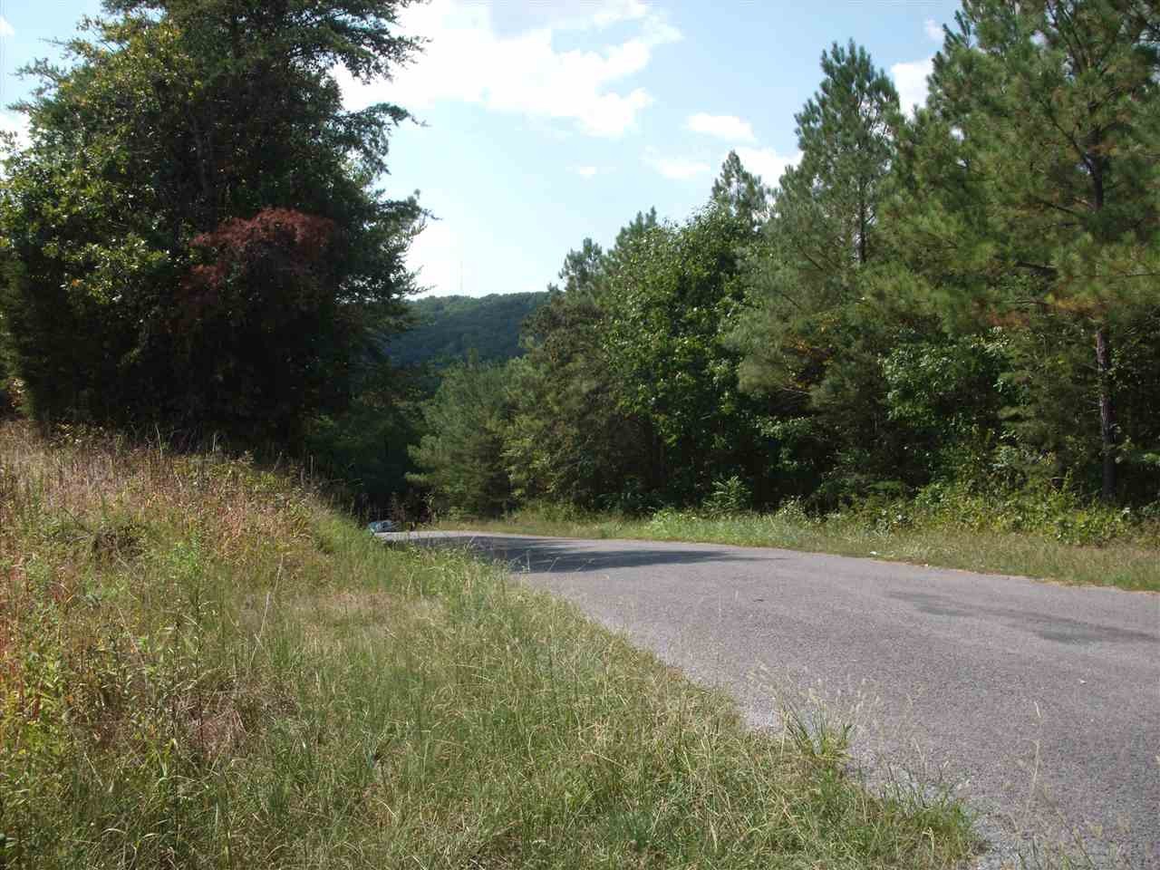 190 Co Road Decatur, TN 37322 - Photo 1 of 7
