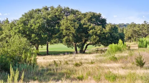 a view of a lake with a tree in the background