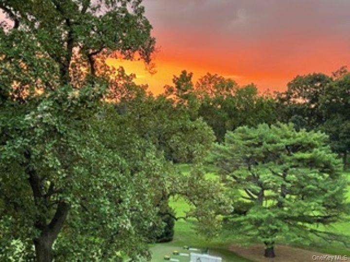 4784 Boston Post Road, Unit B45 Pelham, NY 10803 - Photo 23 of 31 view from living room