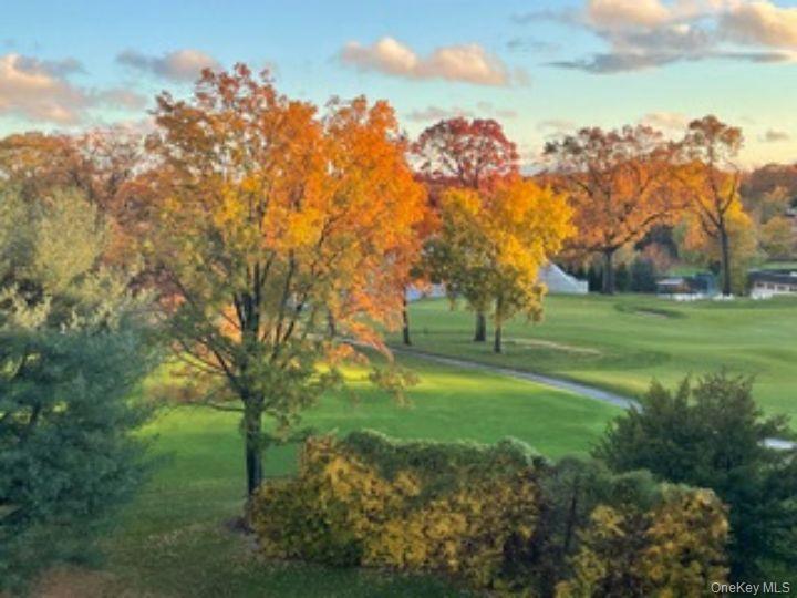 4784 Boston Post Road, Unit B45 Pelham, NY 10803 - Photo 24 of 31 view from bedroom