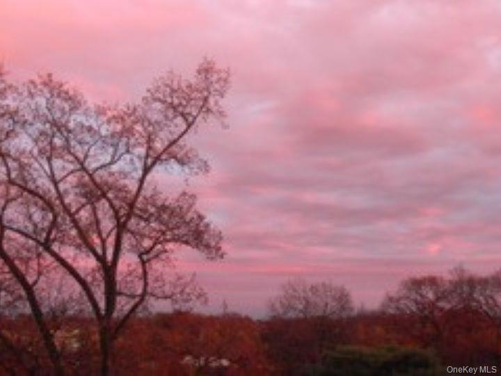 4784 Boston Post Road, Unit B45 Pelham, NY 10803 - Photo 25 of 31 view from bedroom