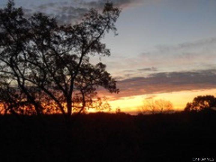 4784 Boston Post Road, Unit B45 Pelham, NY 10803 - Photo 26 of 31 view from bedrrom