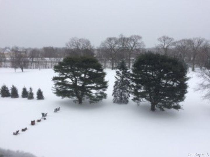 4784 Boston Post Road, Unit B45 Pelham, NY 10803 - Photo 28 of 31 view from living room