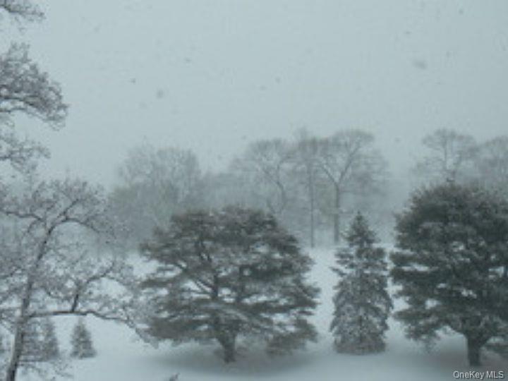 4784 Boston Post Road, Unit B45 Pelham, NY 10803 - Photo 29 of 31 view from bedroom