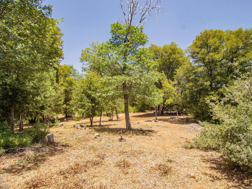 7 West Incense Cedar Road Julian, CA 92036 - Photo 16 of 24 a view of empty space with trees
