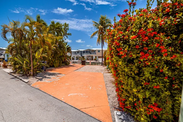 a view of outdoor space yard and tree