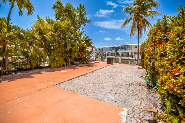a view of a yard with a tree