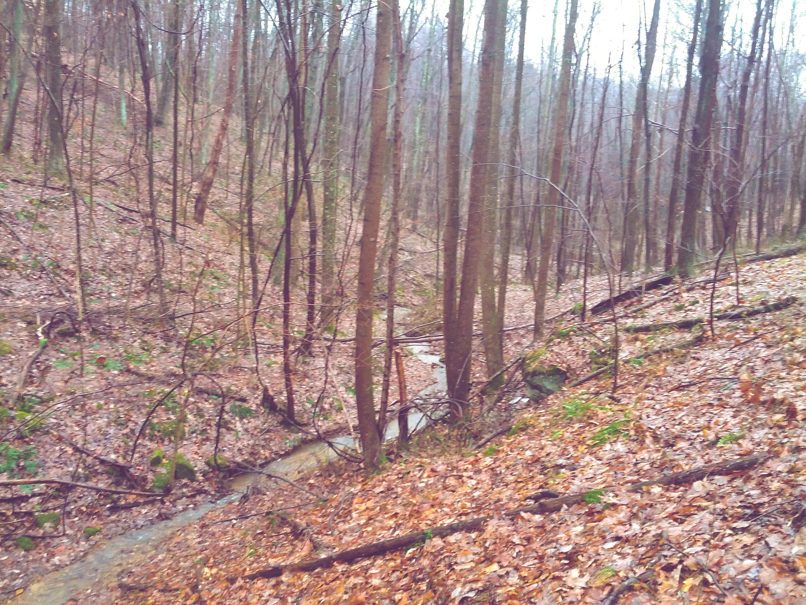 11833 Woodland Ridge Road Rockbridge, OH 43149 - Photo 66 of 70 Seasonal Creek on parcel
