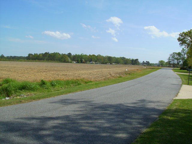 28 Catnip Point Road Bath, NC 27808 - Photo 2 of 4 Additional Photo