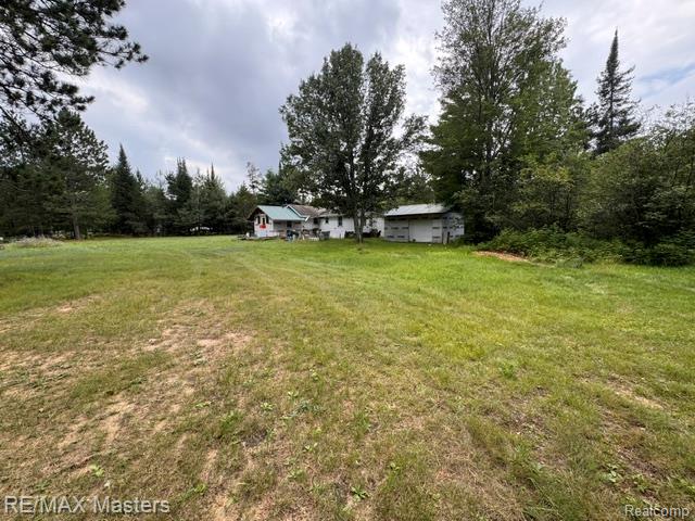1401 Knott Road Luzerne, MI 48636 - Photo 26 of 35 Spacious grounds featuring a detached outbuilding and mature trees