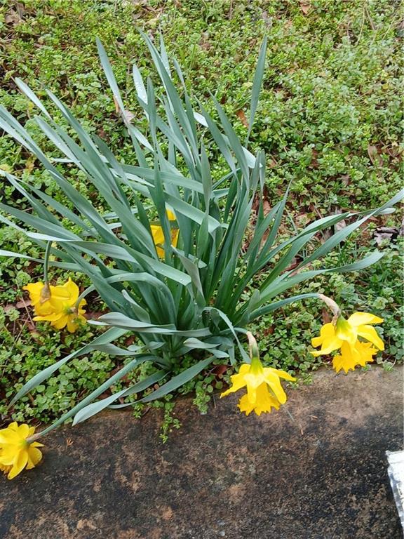 242 Lake Jodeco Road, Unit 242 Jonesboro, GA 30236 - Photo 9 of 45