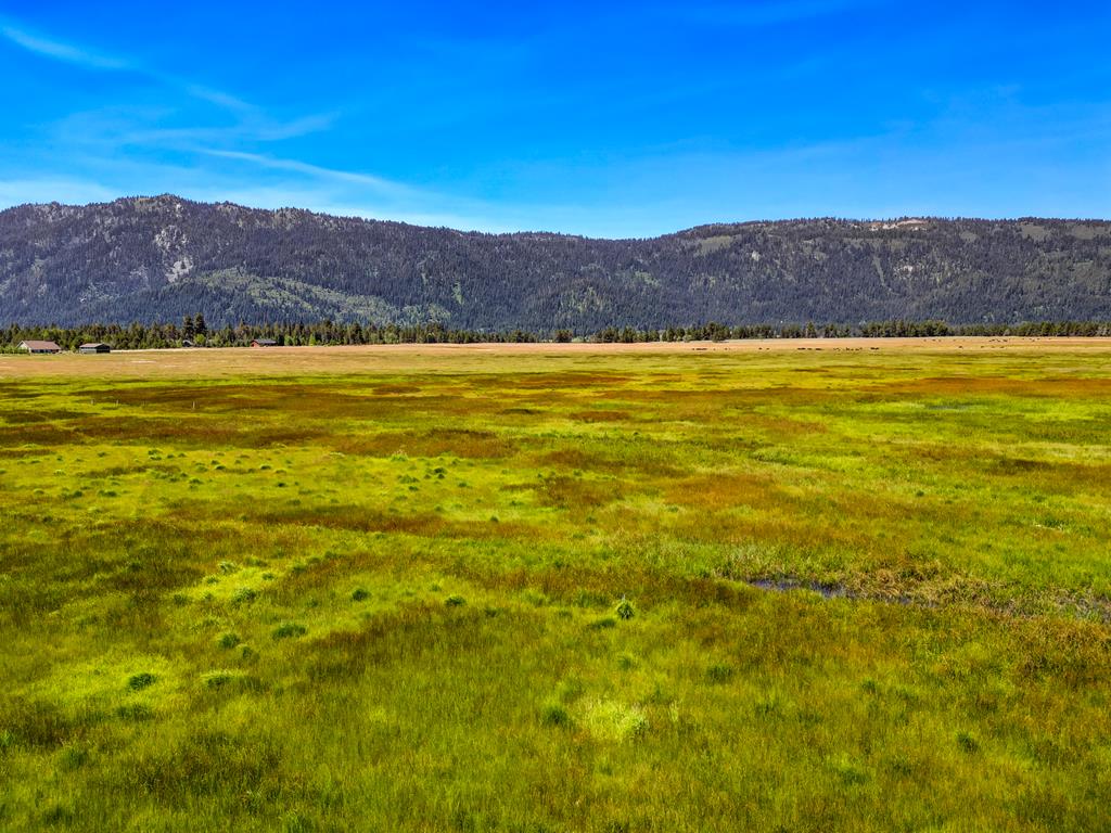 Tbd Tbd Schultz Road Donnelly, ID 83615 - Photo 11 of 20