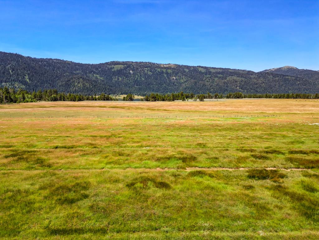 Tbd Tbd Schultz Road Donnelly, ID 83615 - Photo 12 of 20