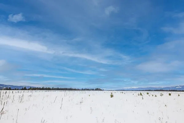$1,635,000 | Tbd Tbd Schultz Road, Donnelly, ID 83615