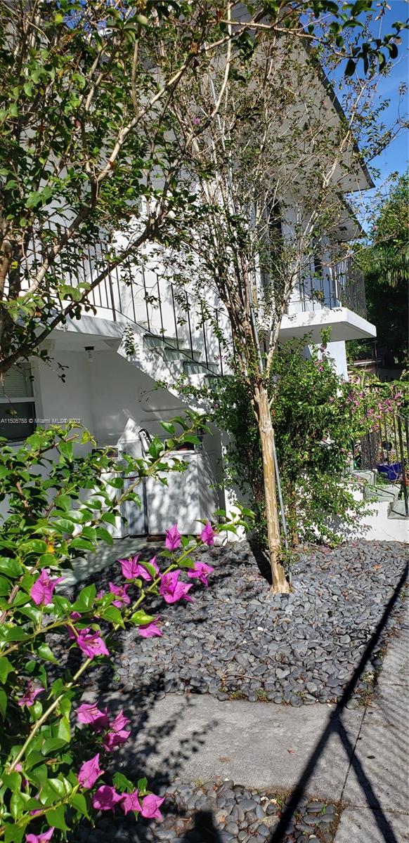 Little River Miami, FL 33138 - Photo 10 of 10 a small garden covered with tall trees