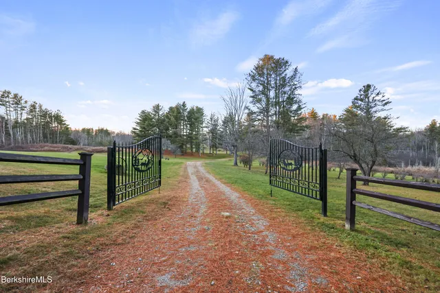 a view of a park with large trees