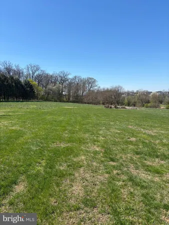 a view of field with tall trees