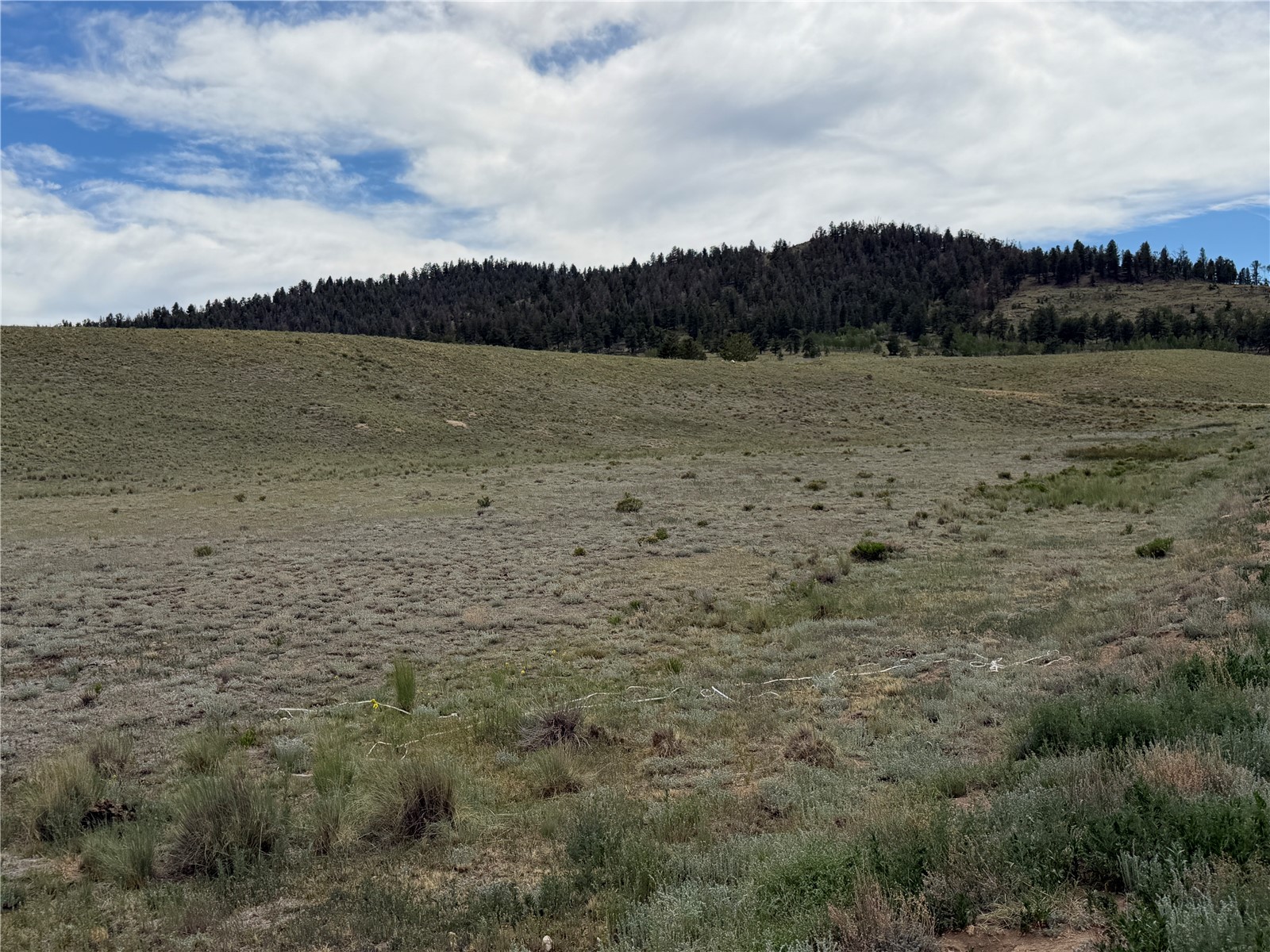 776 Commanche Trail Hartsel, CO 80449 - Photo 5 of 24