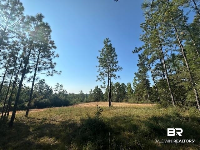 11865 Red Hill Rd Extension Bay Minette, AL 36507 - Photo 3 of 12