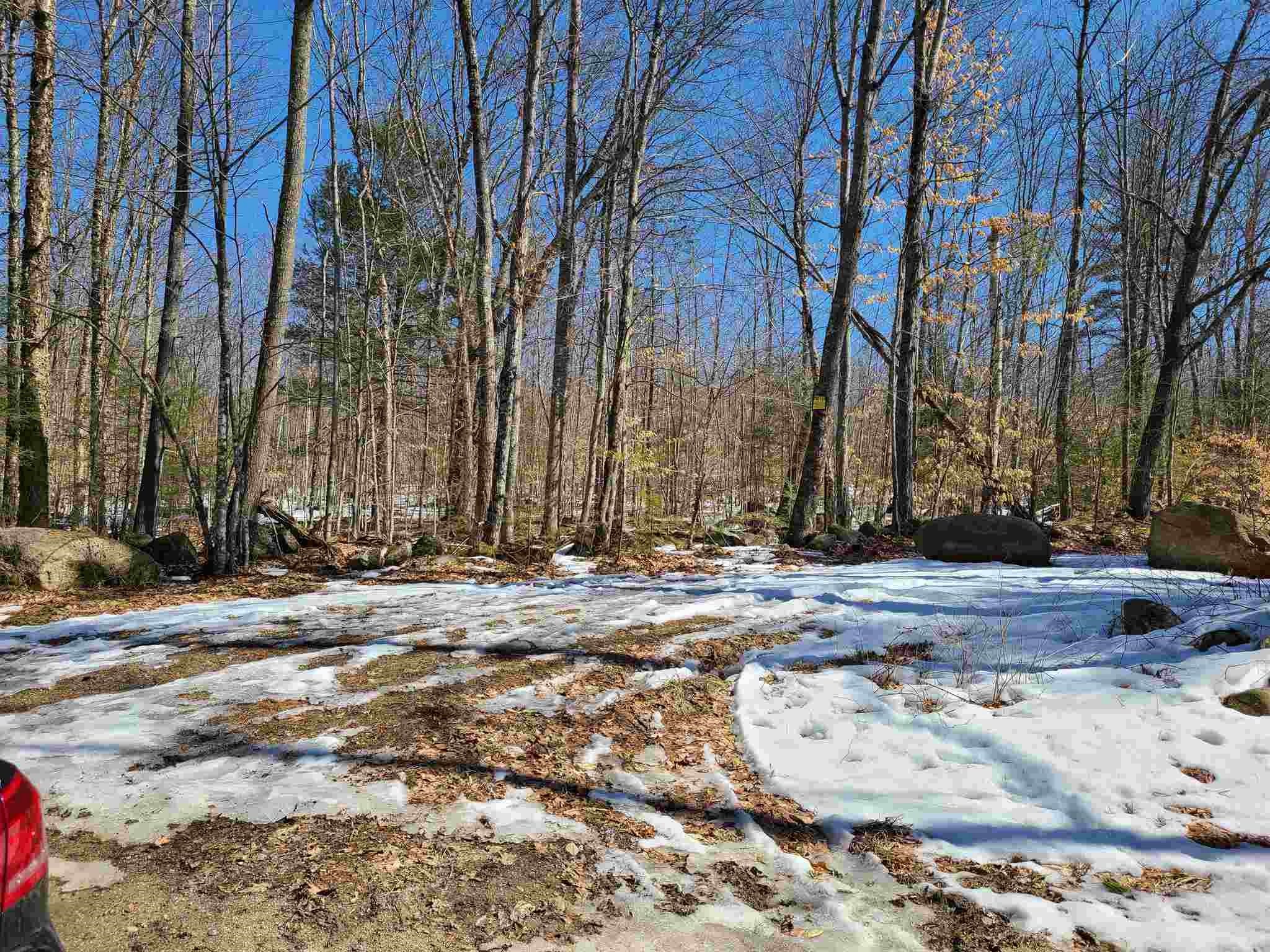 Lang Pond Road Wolfeboro, NH 03894 - Photo 4 of 10 Gallery Image 4