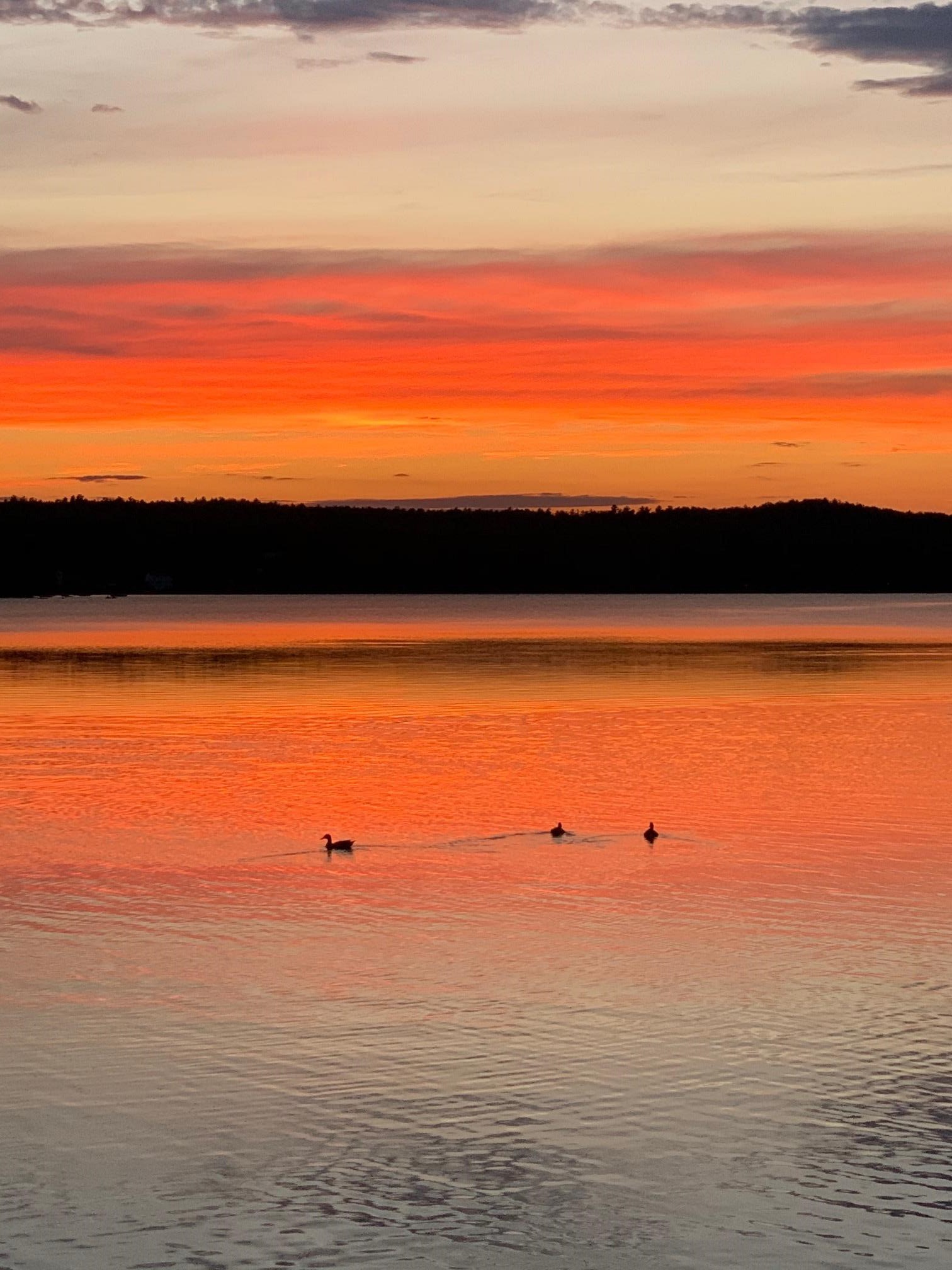 Lang Pond Road Wolfeboro, NH 03894 - Photo 6 of 10 Gallery Image 6