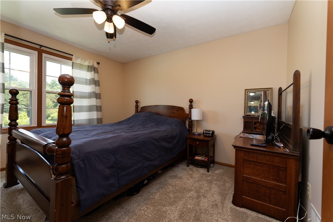 3856 Jones Road Diamond, OH 44412 - Photo 27 of 38 Carpeted bedroom with ceiling fan