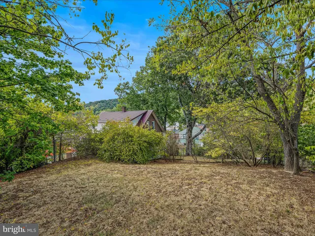 a view of a yard with plants and trees