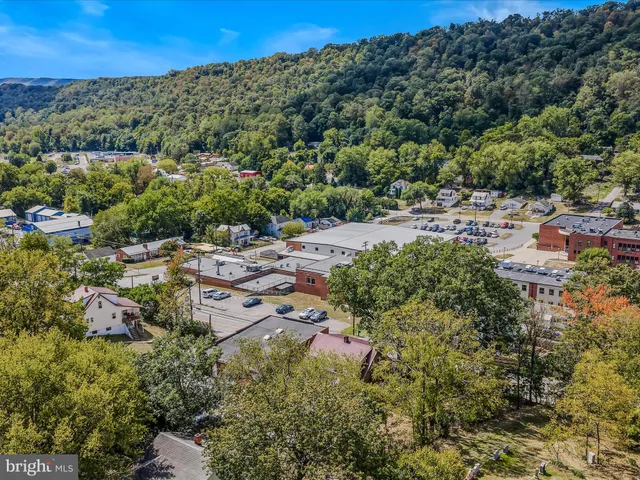a view of a bunch of trees and bushes
