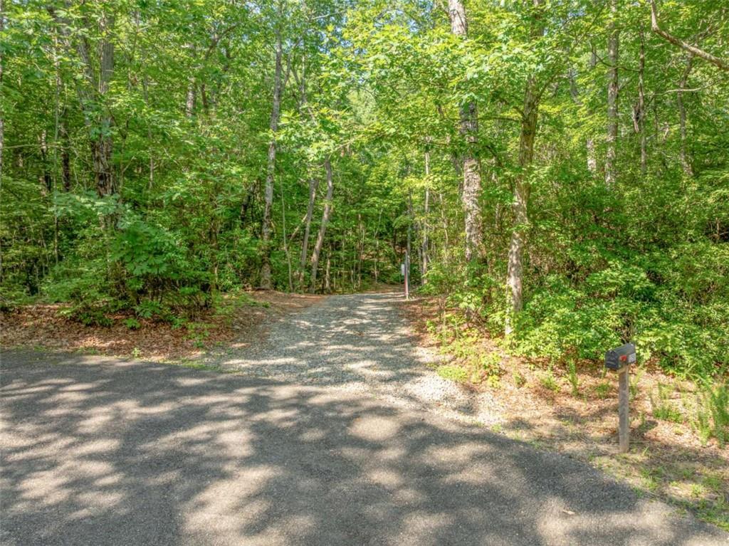 1298 Cold Stream Trail Jasper, GA 30143 - Photo 7 of 57