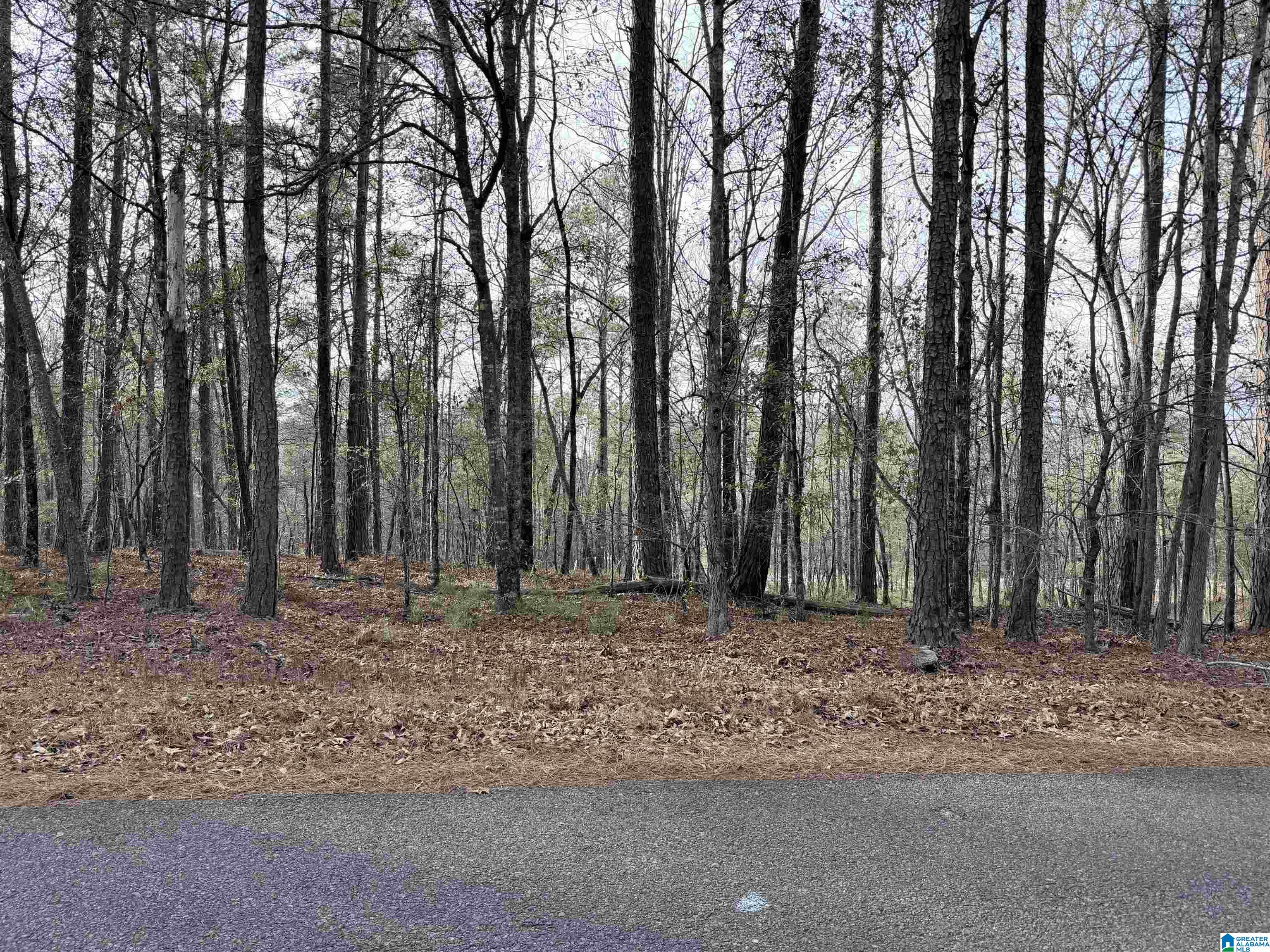 0 Renfroe Road, Unit 5 Alpine, AL 35014 - Photo 3 of 3