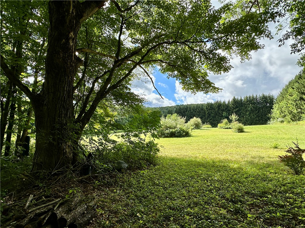 0 Lanning Road Naples, NY 14512 - Photo 11 of 32