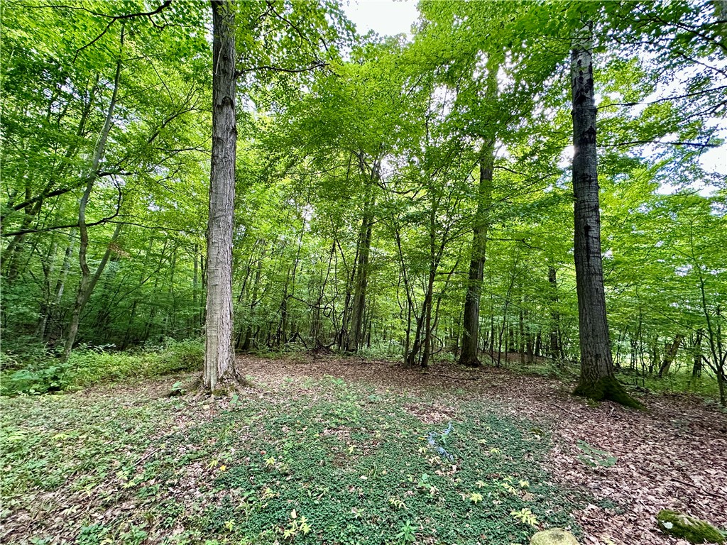 0 Lanning Road Naples, NY 14512 - Photo 14 of 32