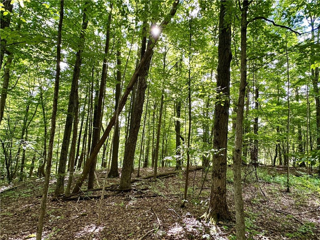 0 Lanning Road Naples, NY 14512 - Photo 17 of 32