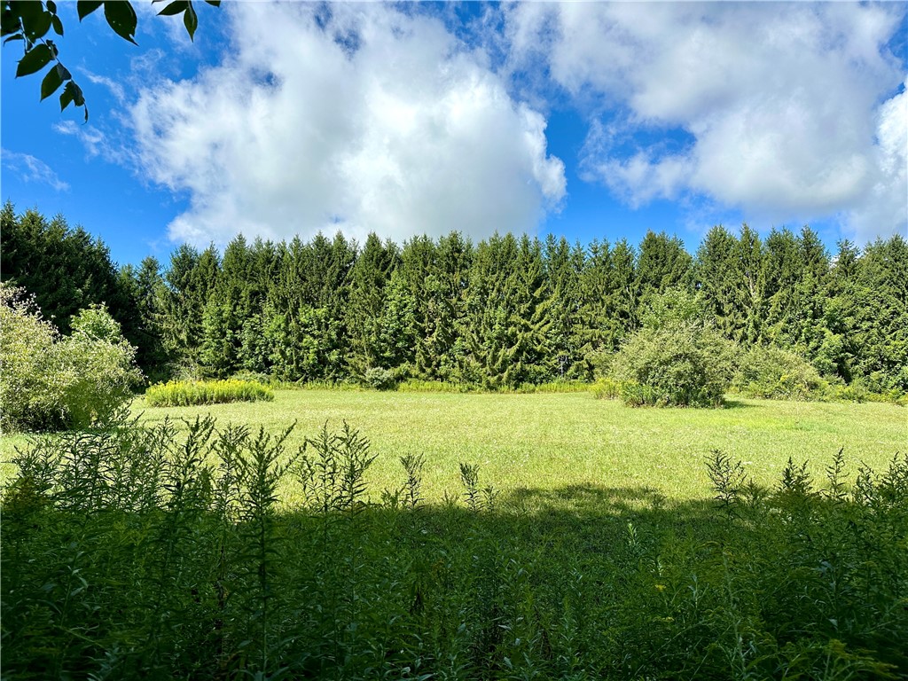 0 Lanning Road Naples, NY 14512 - Photo 2 of 32