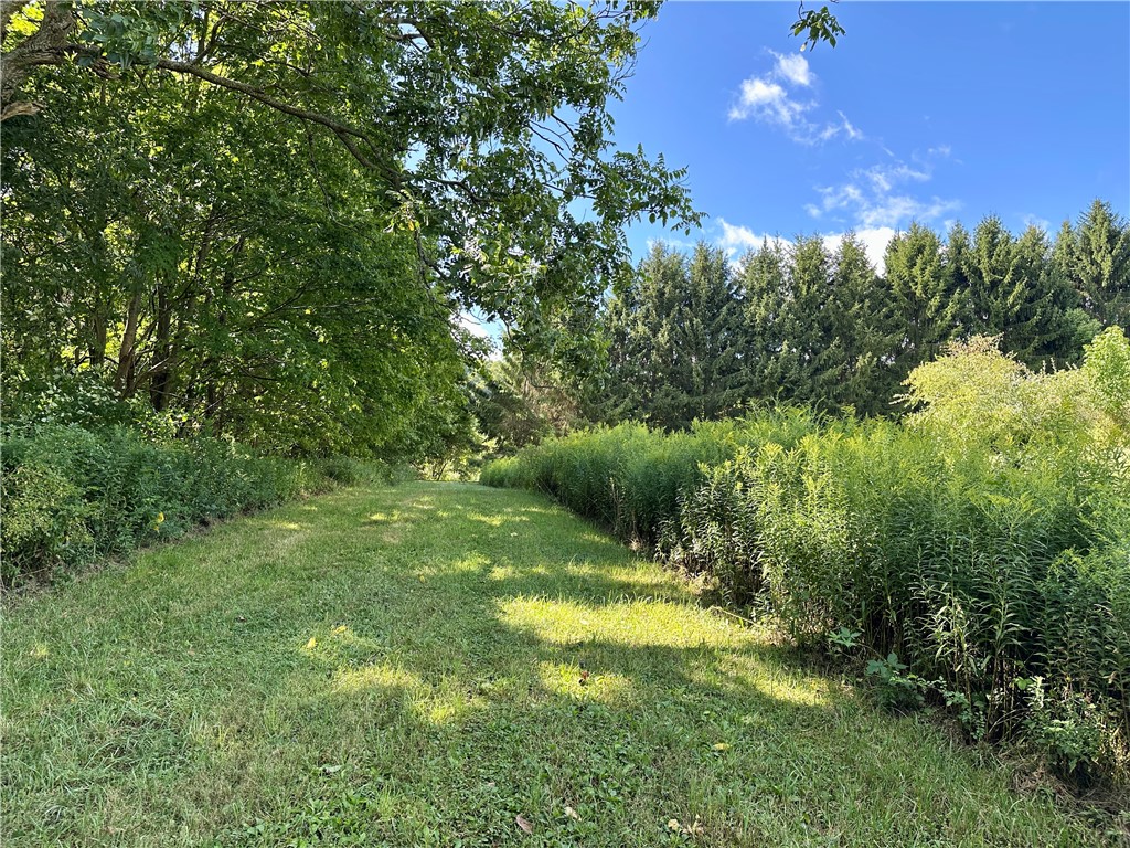 0 Lanning Road Naples, NY 14512 - Photo 3 of 32