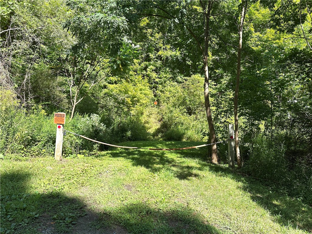 0 Lanning Road Naples, NY 14512 - Photo 31 of 32