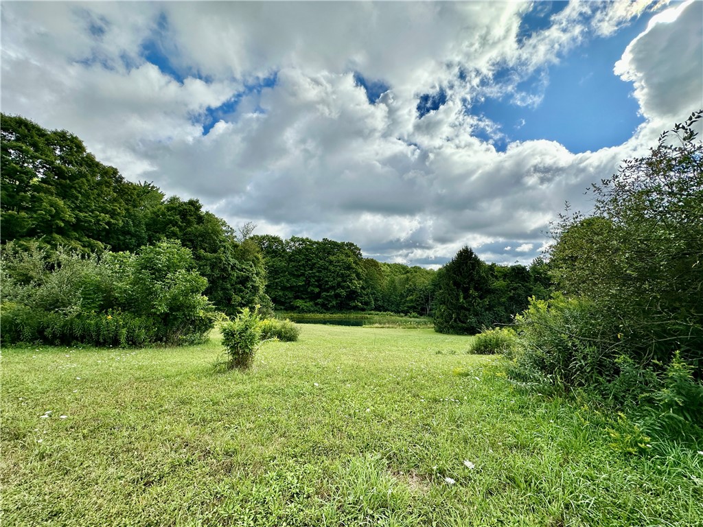 0 Lanning Road Naples, NY 14512 - Photo 5 of 32