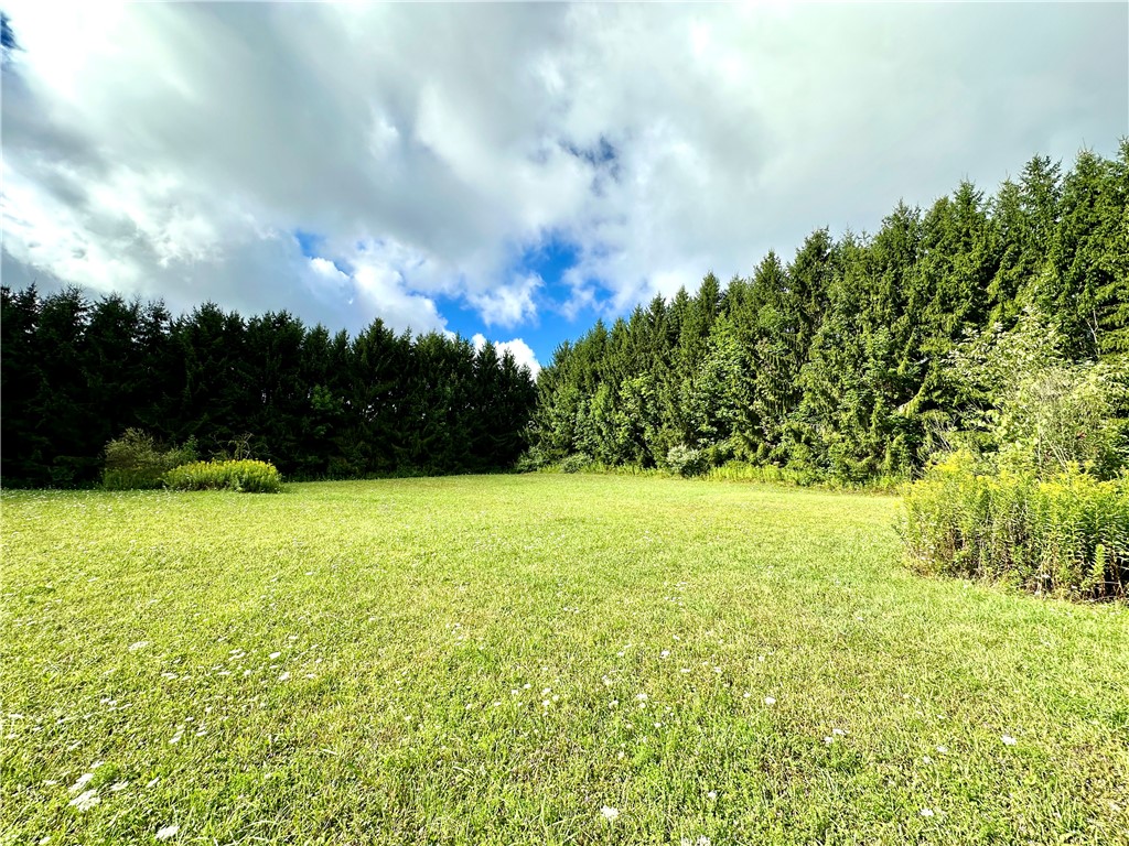 0 Lanning Road Naples, NY 14512 - Photo 6 of 32