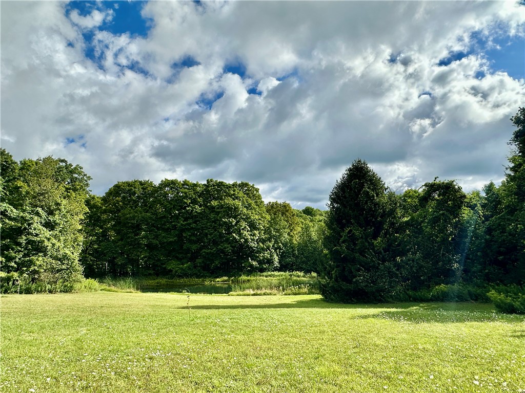 0 Lanning Road Naples, NY 14512 - Photo 7 of 32