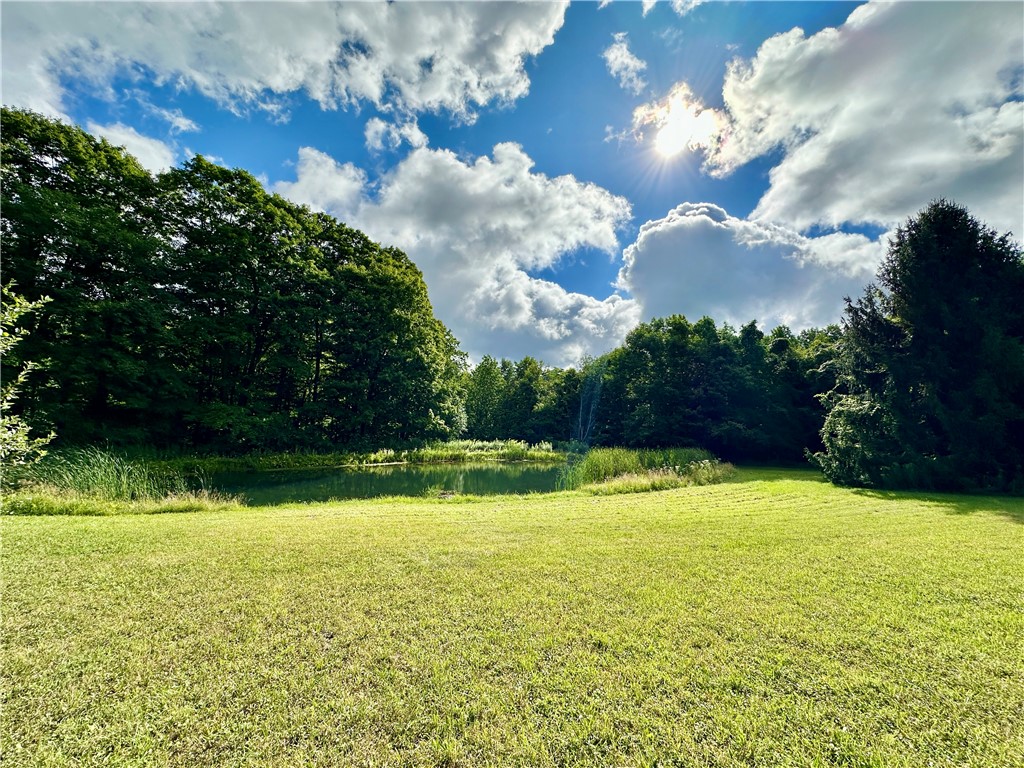 0 Lanning Road Naples, NY 14512 - Photo 8 of 32