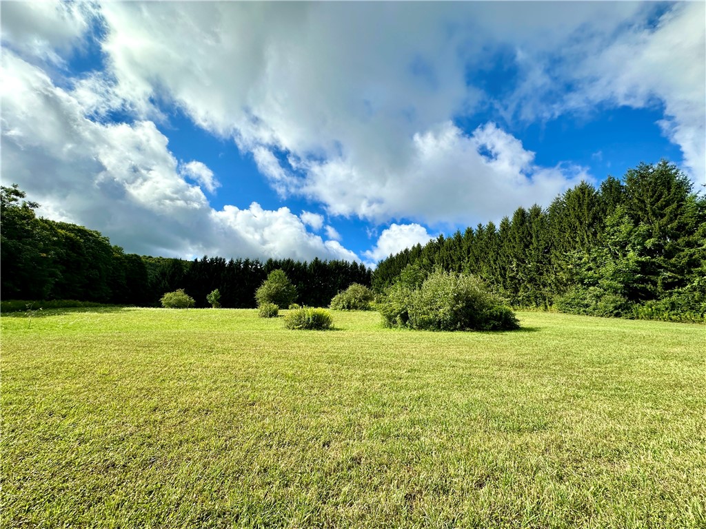 0 Lanning Road Naples, NY 14512 - Photo 9 of 32