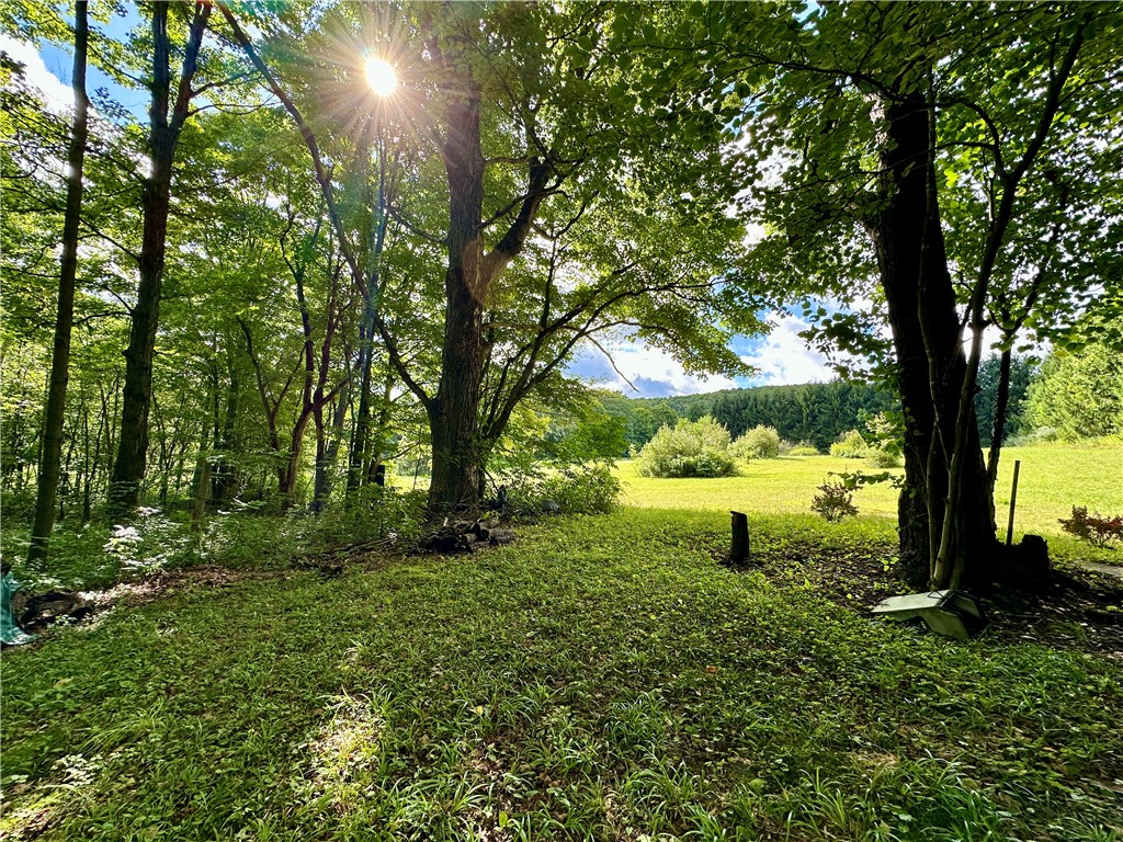 0 Lanning Road Naples, NY 14512 - Photo 10 of 32