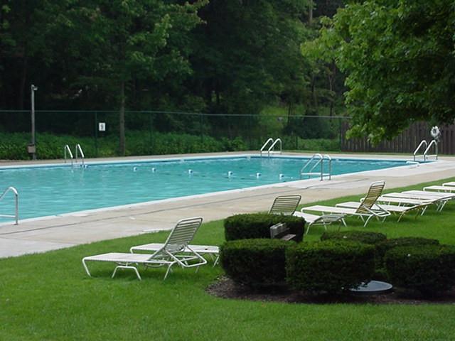 311 Sewickley Ridge Drive Sewickley, PA 15143 - Photo 42 of 45 Neighborhood pool