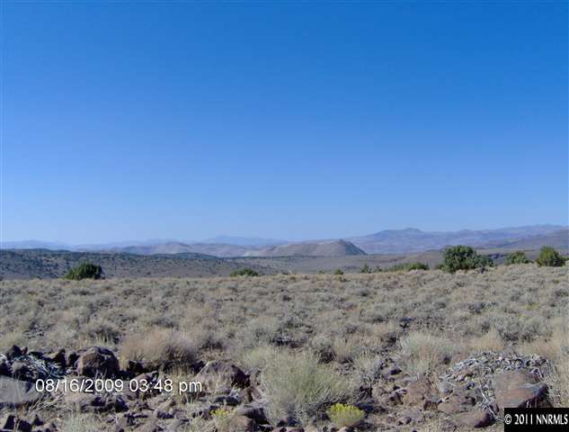 157 S Rocky Road, Unit 157S Reno, NV 89521 - Photo 1 of 1 a view of a dry field with trees in the background