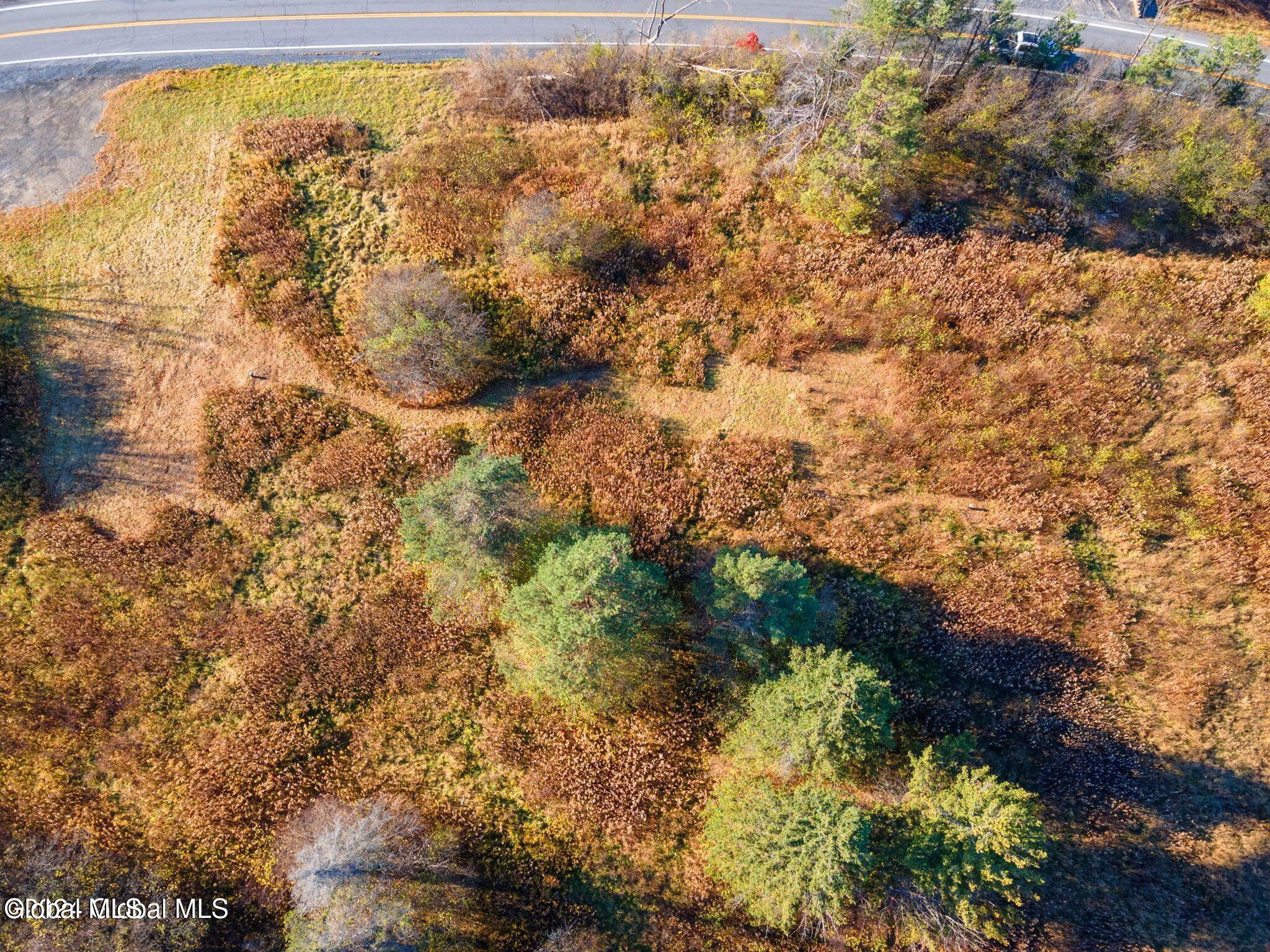 L53 Rr 156 Altamont, NY 12009 - Photo 12 of 12 20241107133415461806000000-o