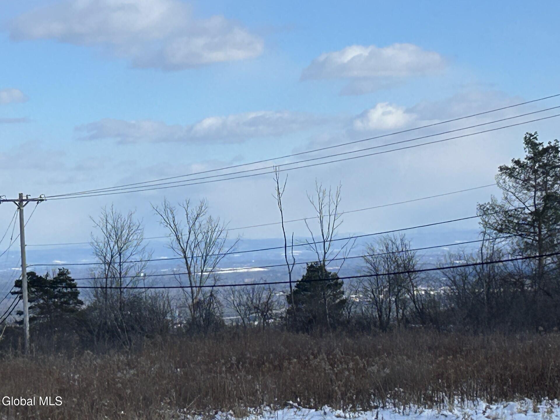 L53 Rr 156 Altamont, NY 12009 - Photo 3 of 12 9